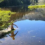 Designer Arber Terrasse Pool Garten Bayrischer Wald Mit Hund Lohberg