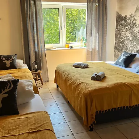 Chaletstyle Designer Arber Terrasse Pool Garten Bayrischer Wald Mit Hund *