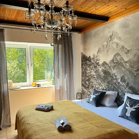 Chaletstyle Designer Arber Terrasse Pool Garten Bayrischer Wald Mit Hund 로베르크