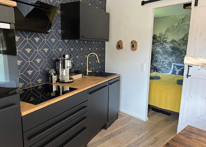 Designer Arber Terrasse Pool Garten Bayrischer Wald Mit Hund Apartamento Lohberg