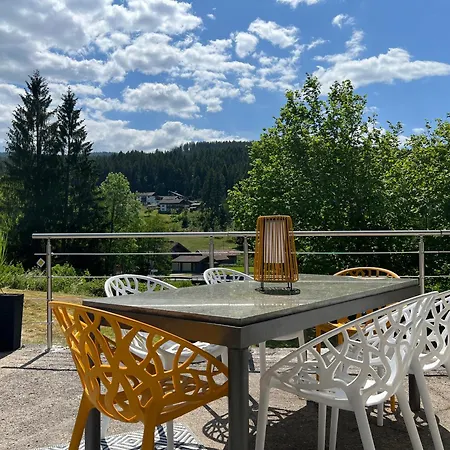 公寓 Chaletstyle Designer Arber Terrasse Pool Garten Bayrischer Wald Mit Hund *