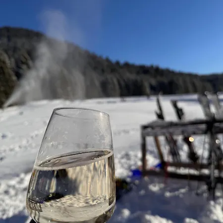 公寓 Chaletstyle Designer Arber Terrasse Pool Garten Bayrischer Wald Mit Hund